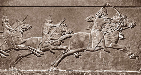 Assyrian Archers Warriors And Warlords Of The Anceint World