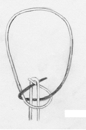 Types of Bowstrings - Archery Historian